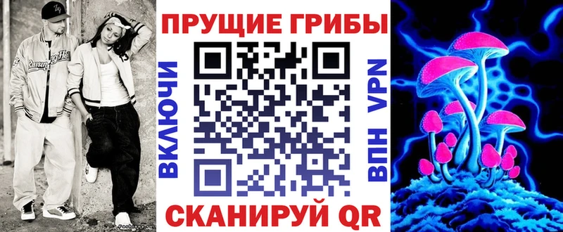 Псилоцибиновые грибы мицелий  Кашин 